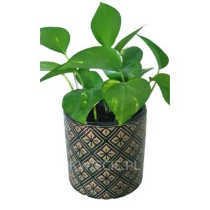osłonka ceramiczna ciemna zieleń wzór z2
