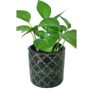 osłonka ceramiczna ciemna zieleń wzór z3