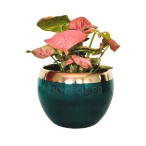 osłonka ceramiczna kula, butelkowa zieleń i złoto
