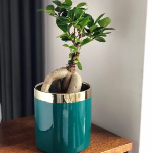 osłonka ceramiczna cylinder, butelkowa zieleń i złoto