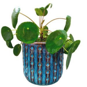 doniczka ceramiczna niebieska