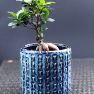 doniczka ceramiczna niebieska