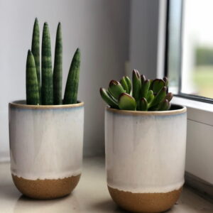 osłonka ceramiczna do sukulentów
