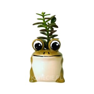 osłonka ceramiczna mała zielona żabka