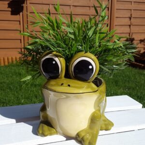 osłonka ceramiczna duża zielona żaba