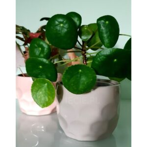 doniczka ceramiczna mocca deco