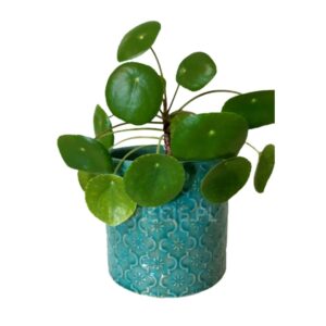 doniczka ceramiczna turkusowa wzór t1