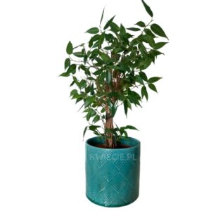 doniczka ceramiczna turkusowa wzór t4