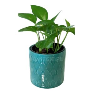doniczka ceramiczna turkusowa wzór t6