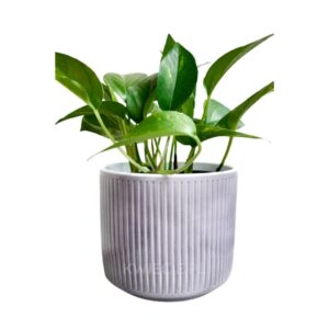 osłonka ceramiczna szara w prążki