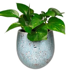 osłonka ceramiczna z naturalnymi spękaniami, błękitna