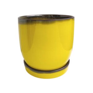 zolta doniczka ceramiczna z podstawkiem