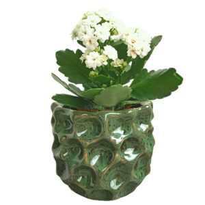 osłonka ceramiczna zielony krater