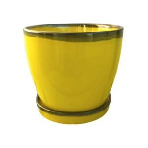 żółta doniczka ceramiczna z podstawkiem