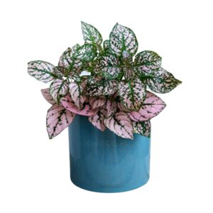 osłonka ceramiczna, doniczka niebieska, monte blue