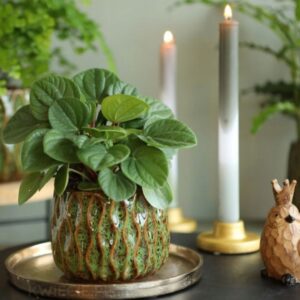 osłonka ceramiczna zielona wave