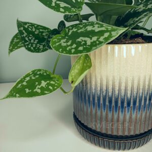 ceramiczna doniczka z podstawkiem